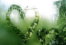 萨拉赫重要时刻锐不可当，独行侠带队取胜！